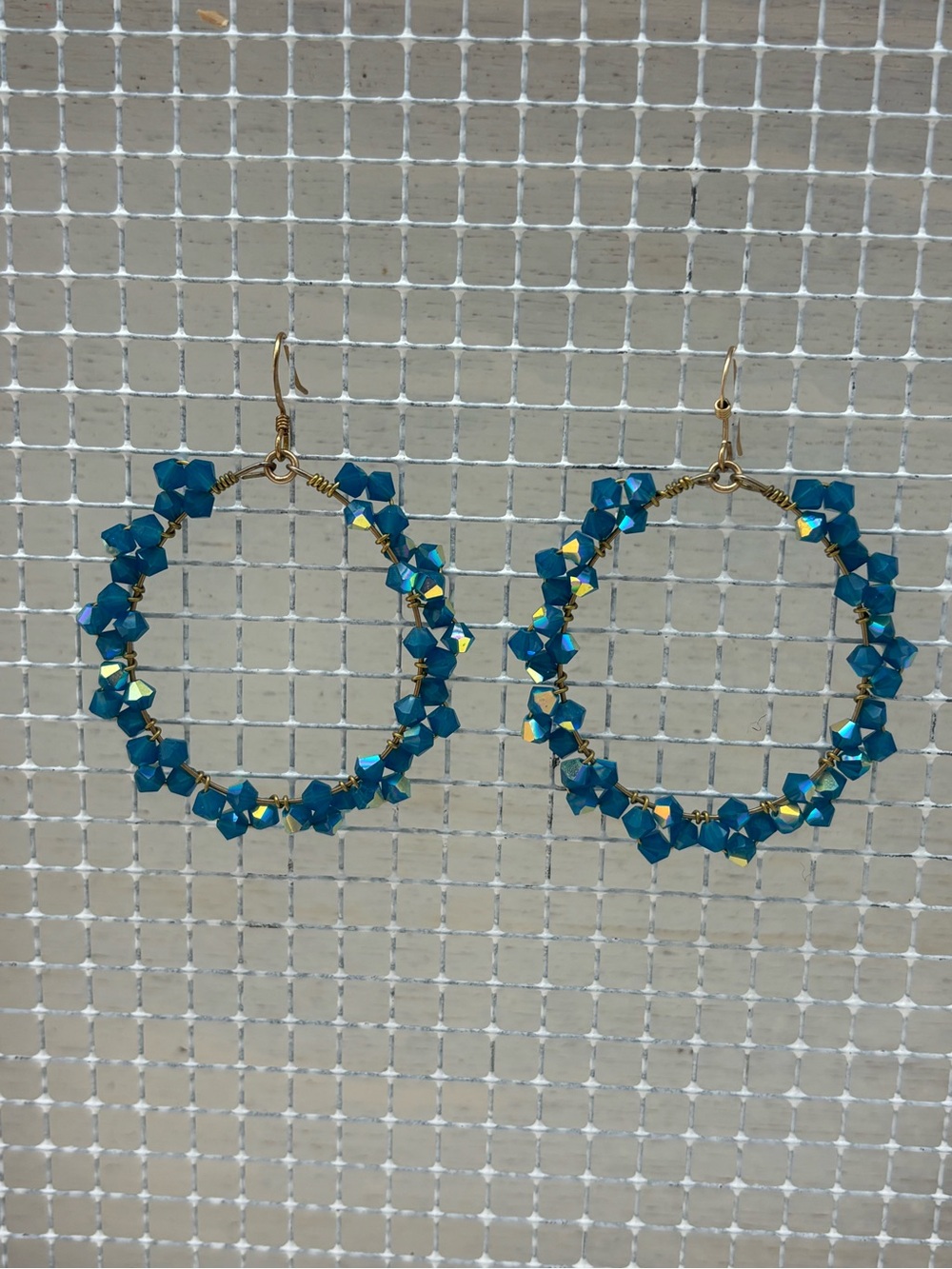 Blue Crystal Hoop Earrings - Women Jewelry
